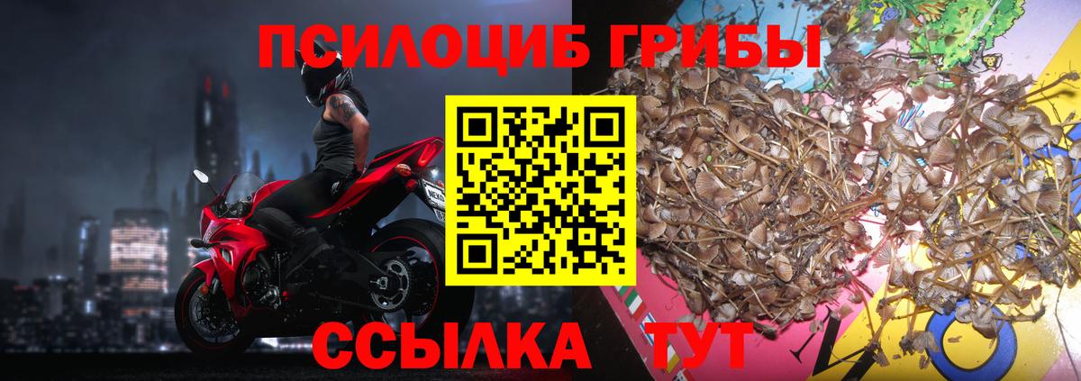 Псилоцибиновые грибы ЛСД  где можно купить   Аша  Галлюциногенные грибы мицелий  Вход с VPN 